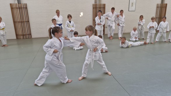 250625_karate_pruefung__11.jpeg